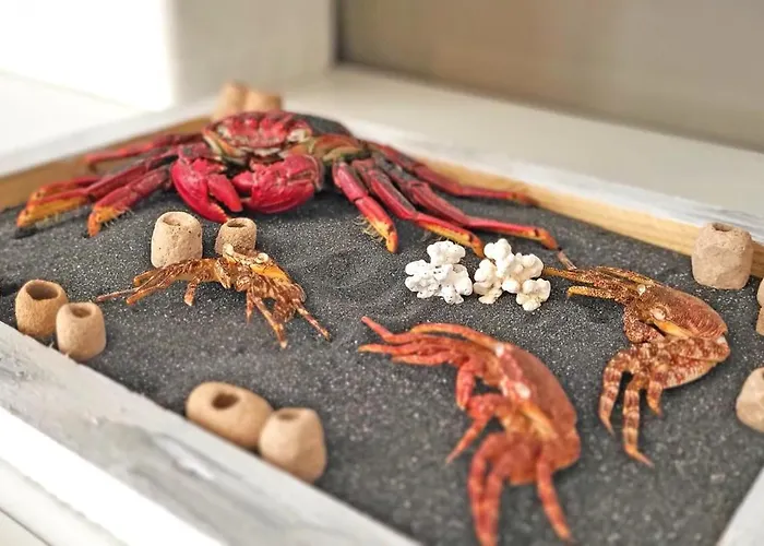 Lugar Con Alma, Tarajalejo, Balkon, Strandnah, Wifi Tarajalejo