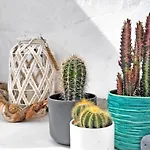Lugar Con Alma - - Balcony Wifi *