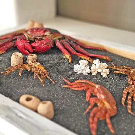 Lugar Con Alma, Tarajalejo, Balkon, Strandnah, Wifi Tarajalejo